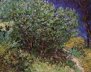 Bushes Vincent Van Gogh